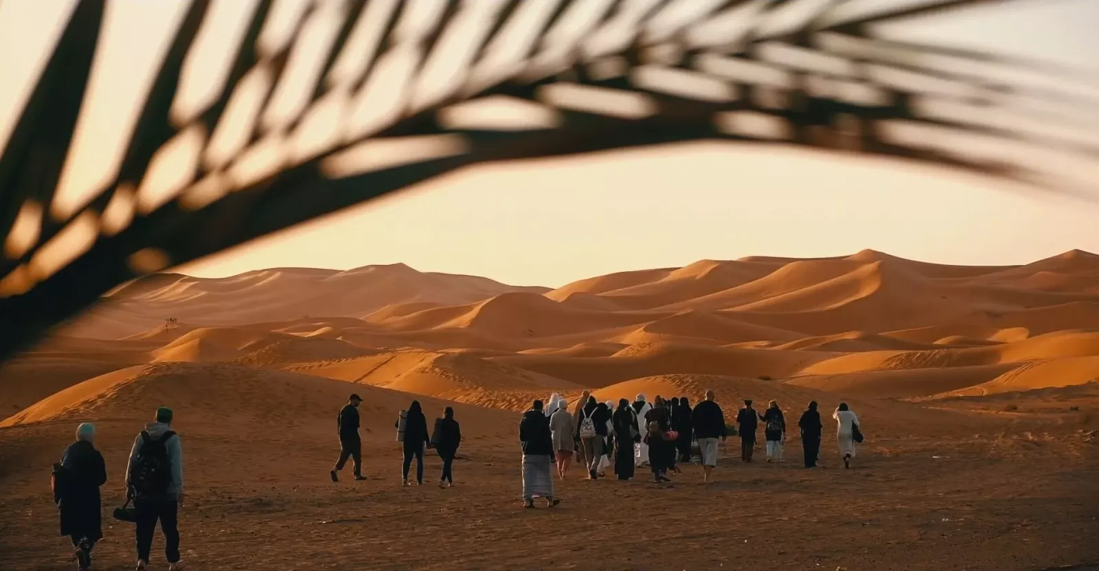 Réveil au cœur des dunes, sous le ciel étoilé